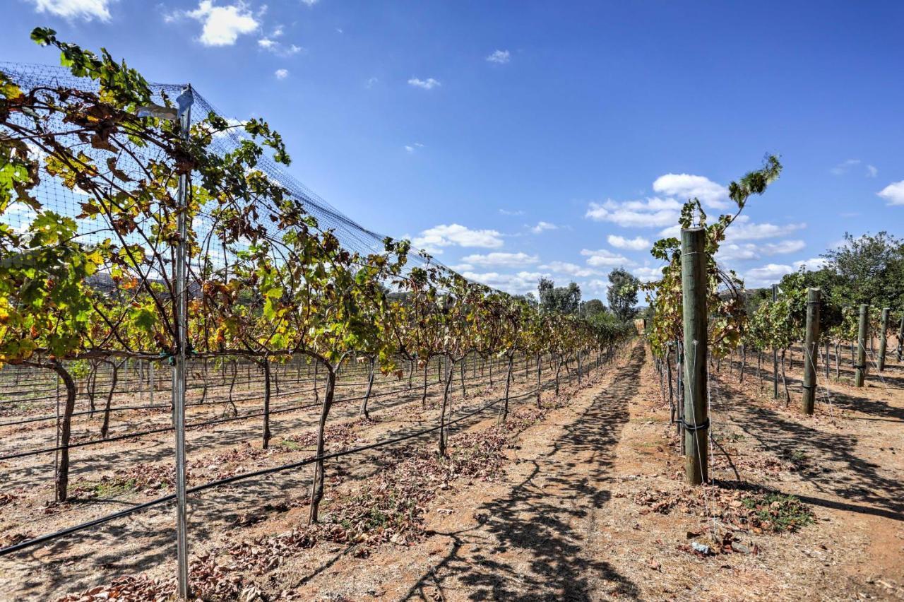 Escondido Vineyard Estate Walk To Wineries! Villa Exterior photo