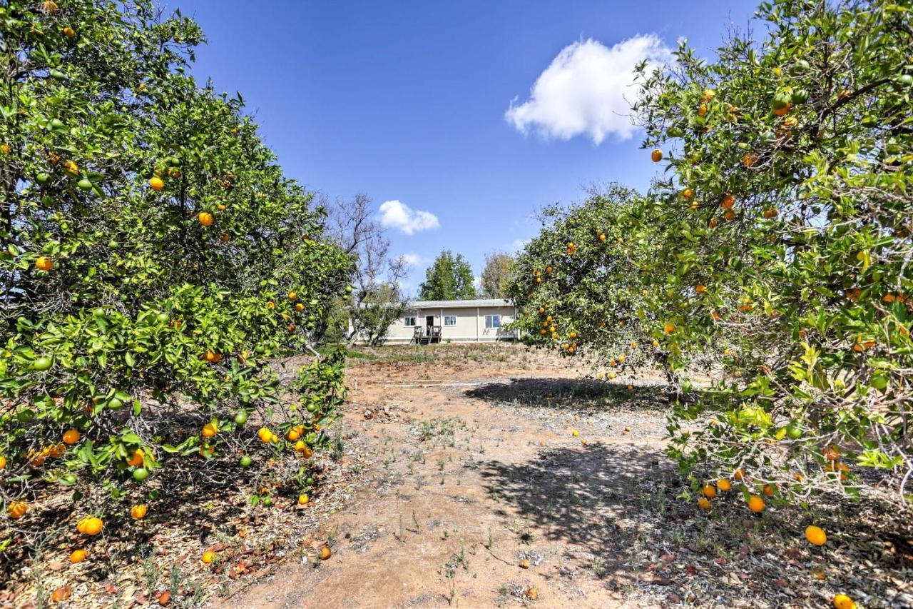 Escondido Vineyard Estate Walk To Wineries! Villa Exterior photo